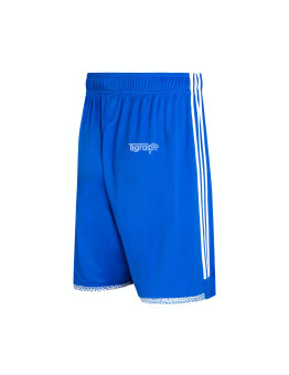 Gym Shorts