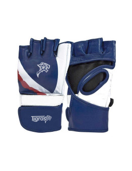 MMA Gloves