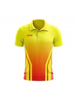 Cricket Jersey Workout for Men